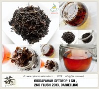 GIDDAPAHAR SFTGFOP 1 CH , 2ND FLUSH 2013, DARJEELING	